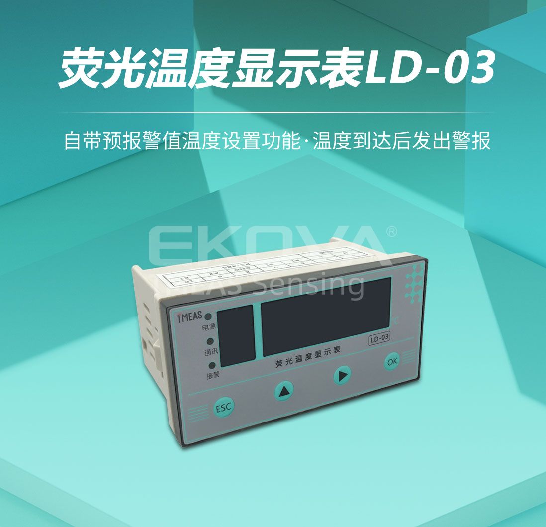 熒光溫度顯示表LD-03